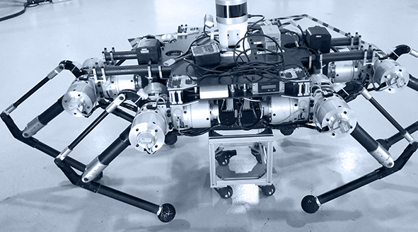 a Hexapod Robot