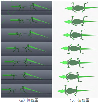 Simulation of the crawling motion of a bionic robot crocodile